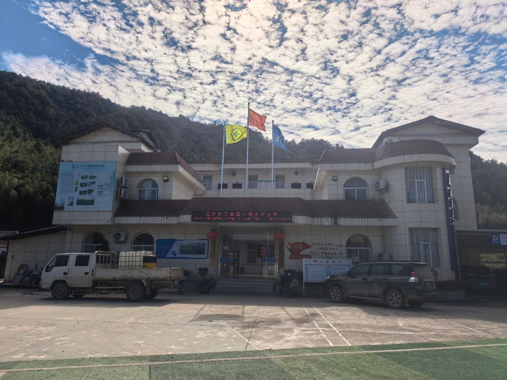 村部.jpg